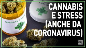cannabis e stress